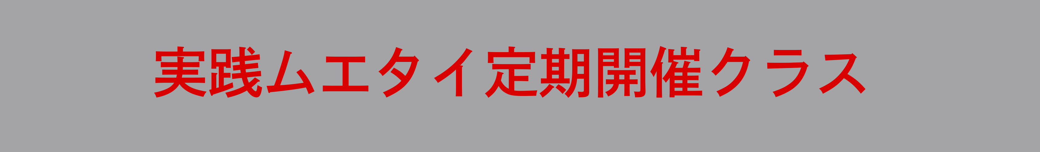 実践ムエタイ定期開催クラス